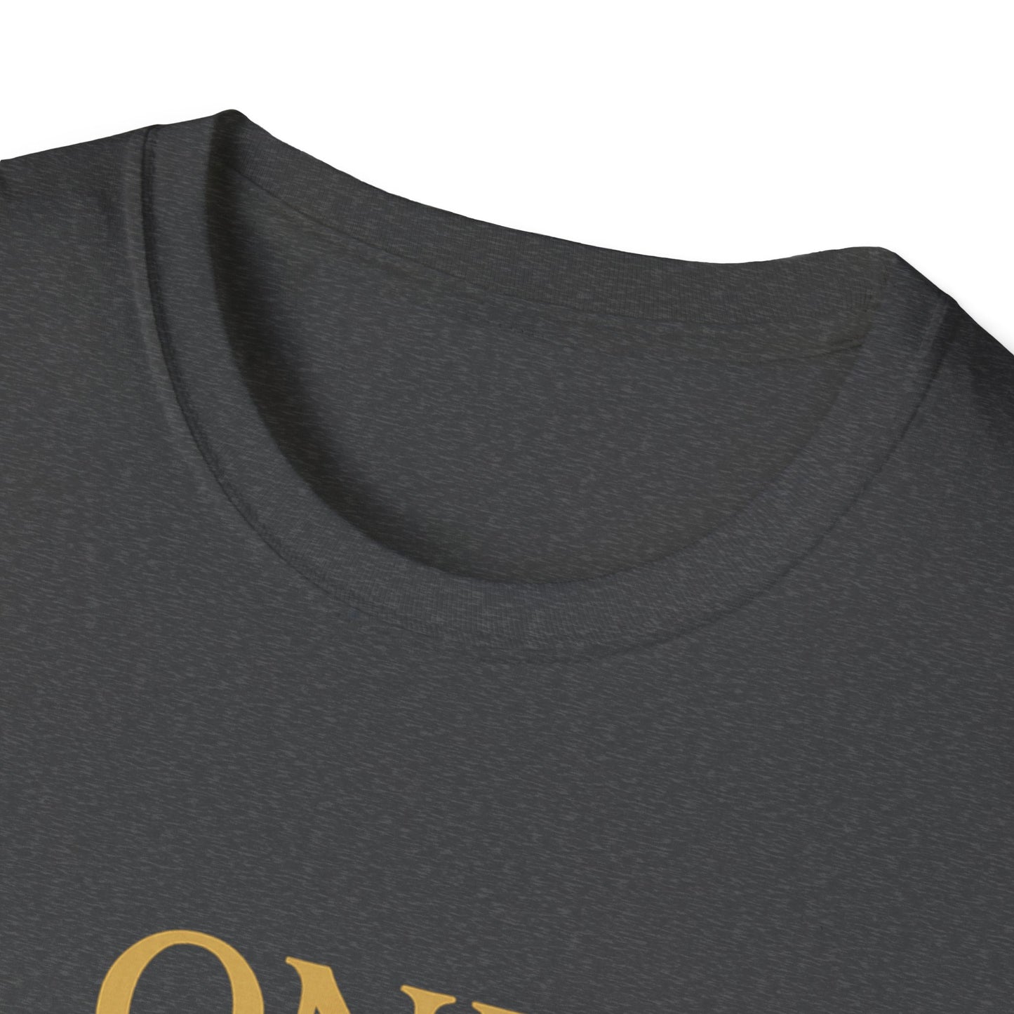 One Grandma to Rule Them All Shirt, Lord of the Rings Parody Tee, Funny Fantasy Gift for Grandma, Middle Earth Nerd Shirt