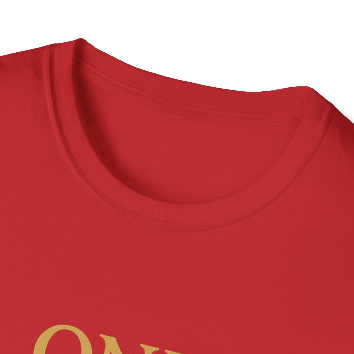 One Grandma to Rule Them All Shirt, Lord of the Rings Parody Tee, Funny Fantasy Gift for Grandma, Middle Earth Nerd Shirt
