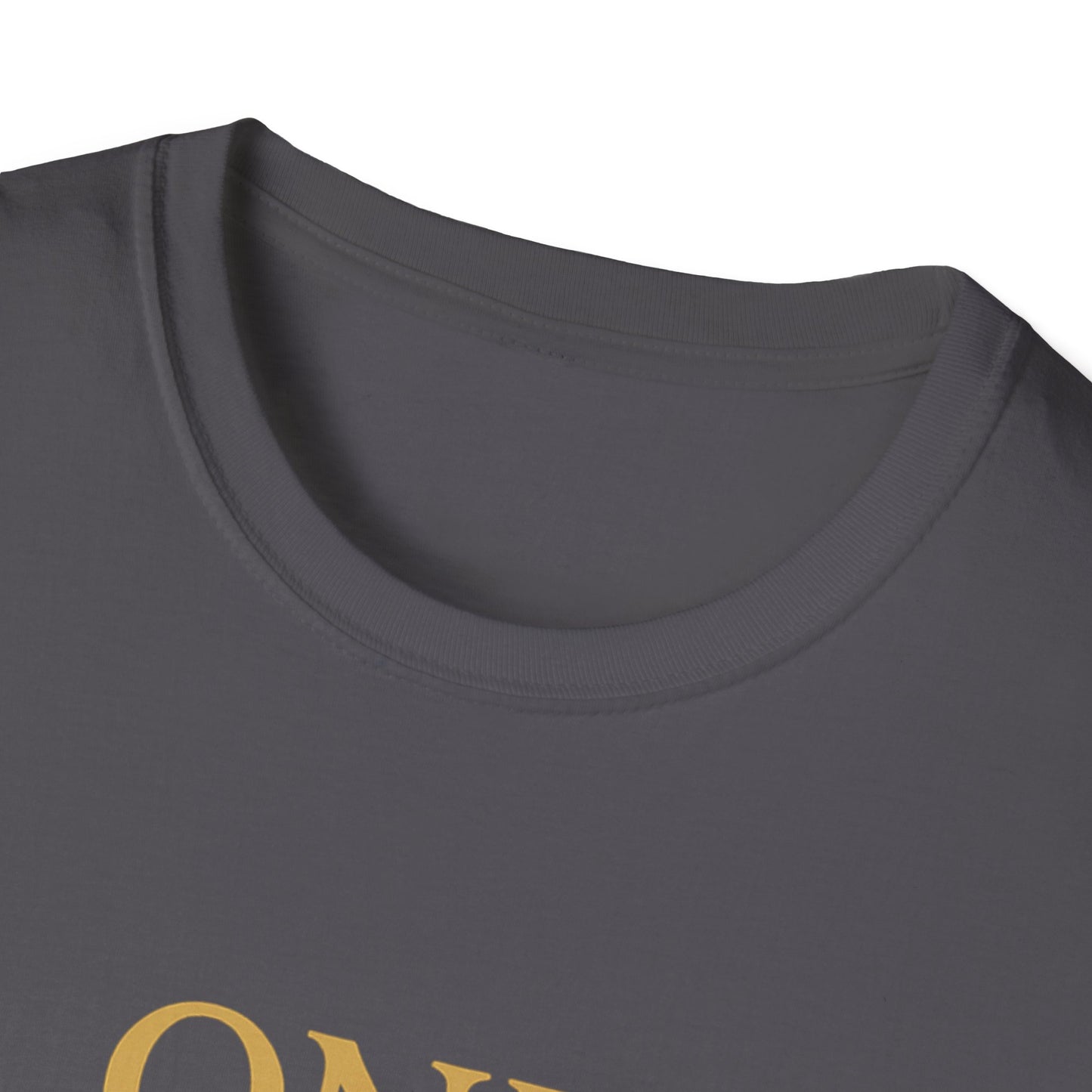 One Grandma to Rule Them All Shirt, Lord of the Rings Parody Tee, Funny Fantasy Gift for Grandma, Middle Earth Nerd Shirt